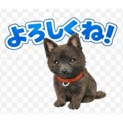 asuka_20260123160558