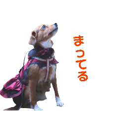 KENTA_20260125074149