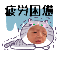 kana_20260125081829