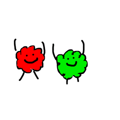 mtsk_20260125083925