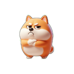 Grumpy Chubby Shiba Inu