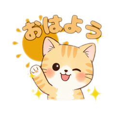 matsuko_20260124154433