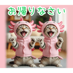 [お帰りなさい専用]ウーパールーパー猫