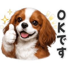 【敬語】使いやすい！ キャバリア