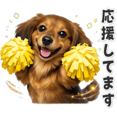 【敬語】 ミニチュアダックスフンド