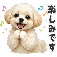 【敬語】使いやすい！ マルプー