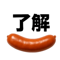 RINTO_20260124110506