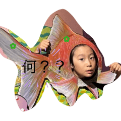 koto_20260125135554