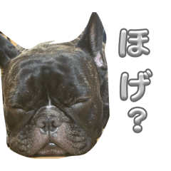 Korayu_20260125173257