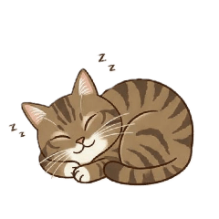 SUZU_20260125194707