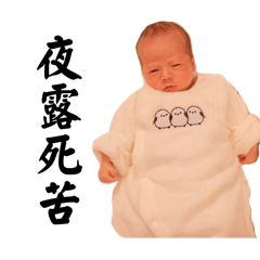 Dainamaito_20260123114323