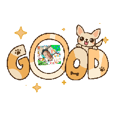 MORIO_20260125235450