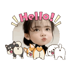 nicha_20260125224857