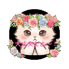 Pretty white kitty who loves pink