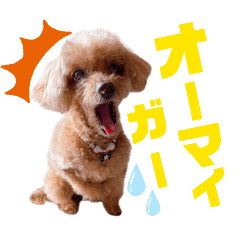 まりも時々らむ2