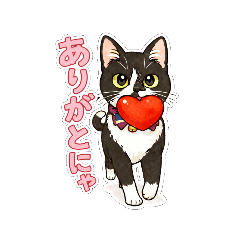 nekonodorei_20260123145800