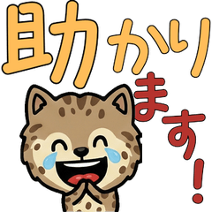 Animated Polite Spotted Tabby  6th