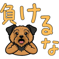 Animated Polite Airedale  18th