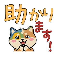 Polite Round English Cocker 23rd