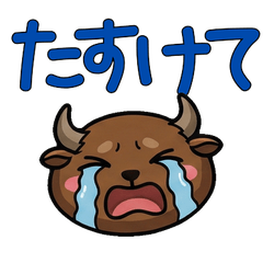 Round Face American Bison 21st