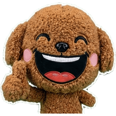 Plush Brown Toy Poodle  7th