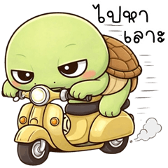 Mischief Turtle (E-San)