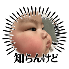 kana_20260125115623