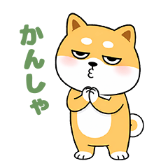 Mugimaru Shiba Inu Tsundere Talk2