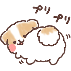 fluffy shih tzu 3set preschooler