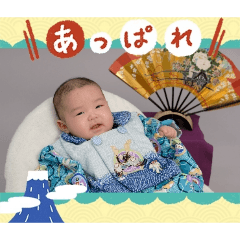 HACHI_20260125174125