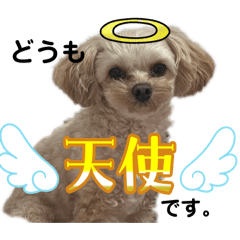 ププの気持ち♡♡