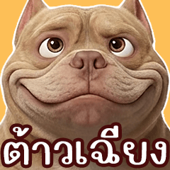 My name is Taoqiang, outfit number 3