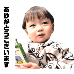 momo_20260125125709