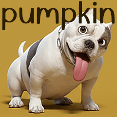 Fat Pumpkin Set 3