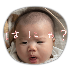OYAZI_20260125161913