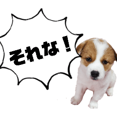 INUMHA_20260125161451