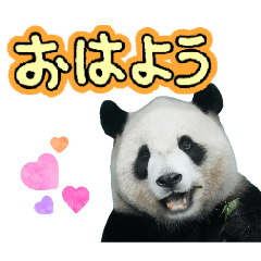 melon_20260125185440