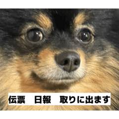 Rei_20260125225434