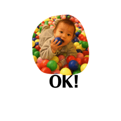 miya_toshi_20260125131228