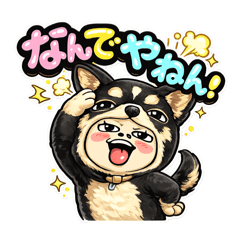 Maroron_20260125170553