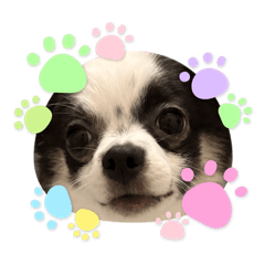 coco.m.i_20260125170446