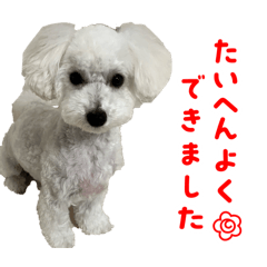 HIKARU_20260125212753