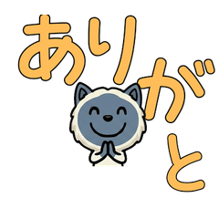 敬語のブルーポイント猫5