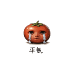 TOMATODAYOOO