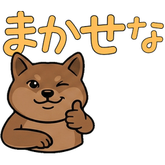 敬語反応クオッカ17