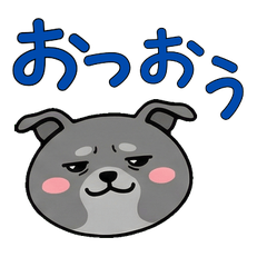 丸顔イタグレ21