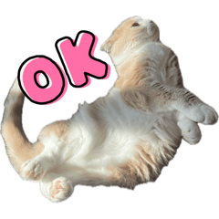 nosuke_20260123225419