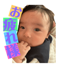 msk_20260125201511