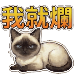 White Rotten Cat Ball  I'm Rotten