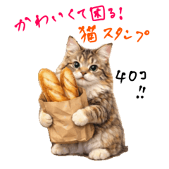 Lovely cat stickers for your everyday